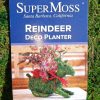 Reindeer Deco Planter made with Preserved Mountain Moss by Supermoss™