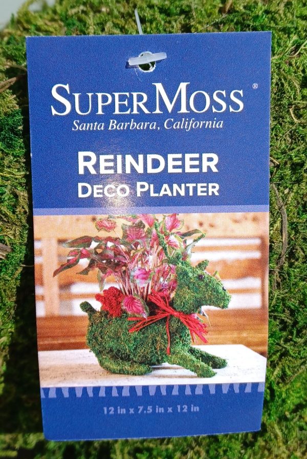 Reindeer Deco Planter made with Preserved Mountain Moss by Supermoss™