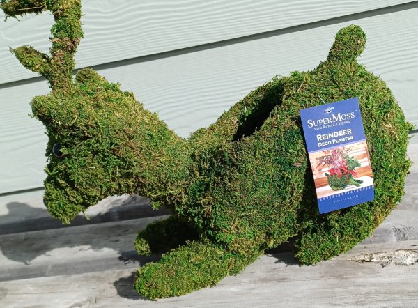 Reindeer Deco Planter made with Preserved Mountain Moss by Supermoss™