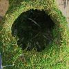 Reindeer Deco Planter made with Preserved Mountain Moss by Supermoss™