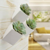 Cube Wall Planter - Black - New In Box - Arcadia Garden Products 6" tall cube